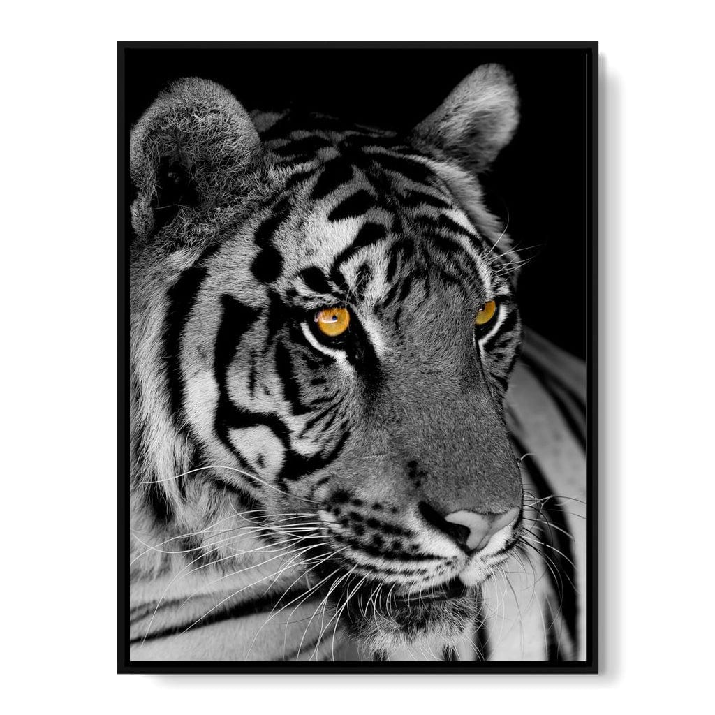 Black and White Tiger with Yellow Eyes Canvas Wall Art