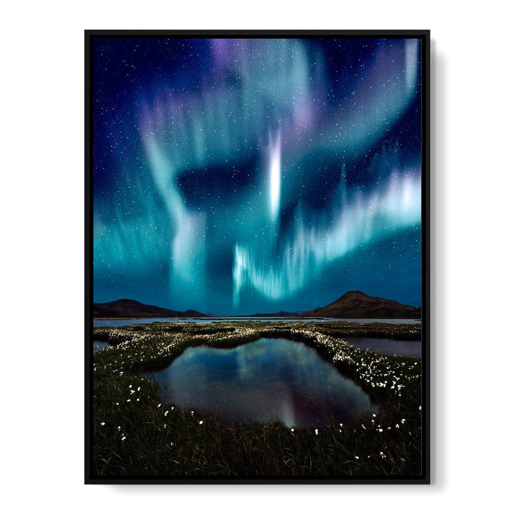 Enlightened Night Canvas Wall Art
