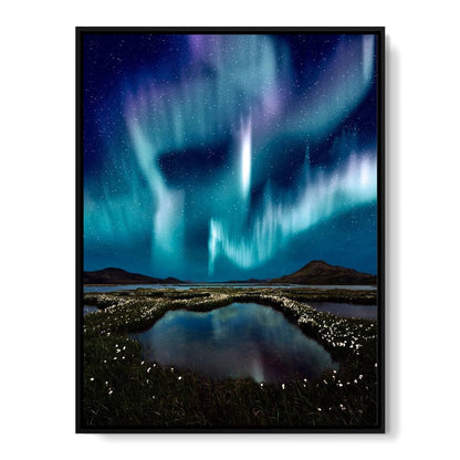 Enlightened Night Canvas Wall Art