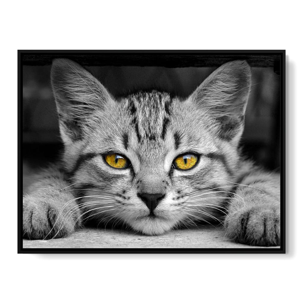 Black & White Cat with Yellow Eyes Canvas Wall Art