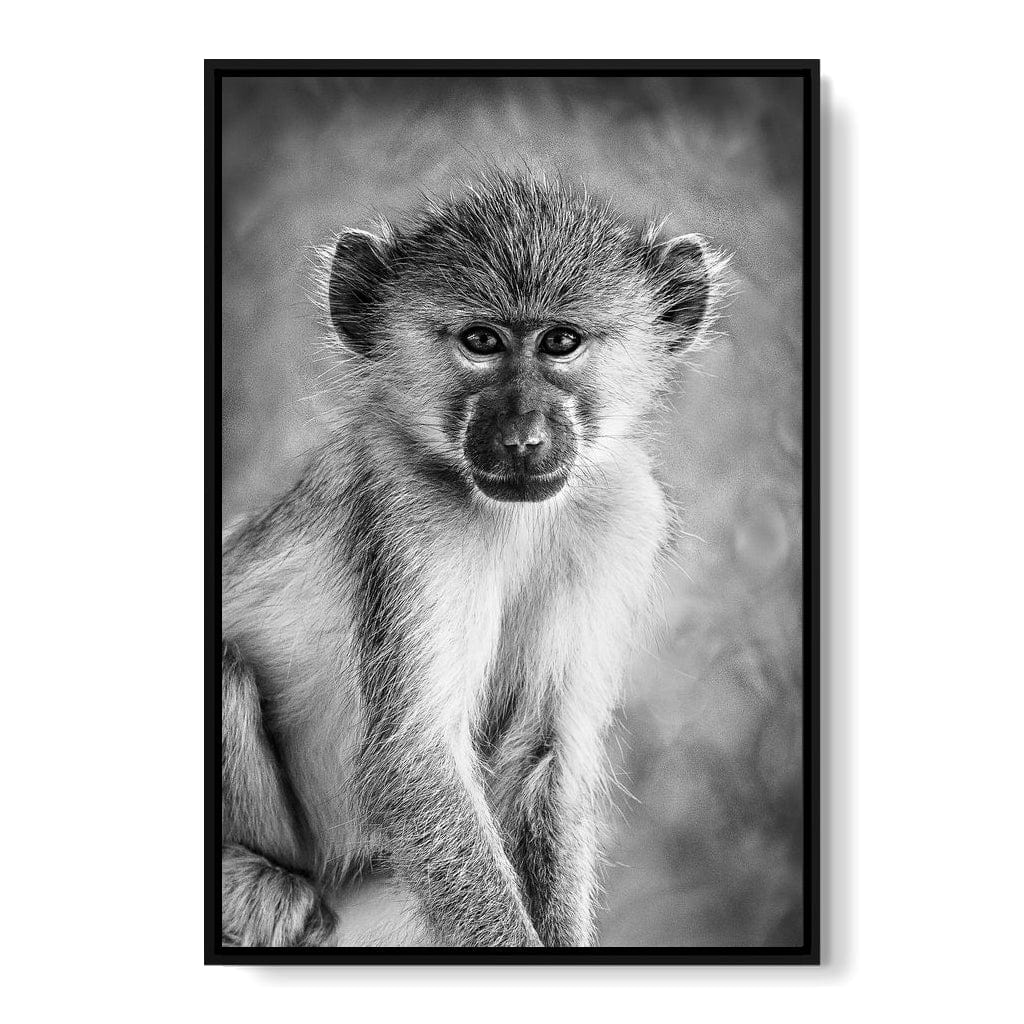 Monkey in Black & White Canvas Wall Art