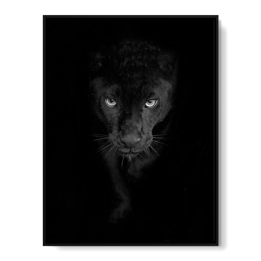 Black and White Panther Canvas Wall Art