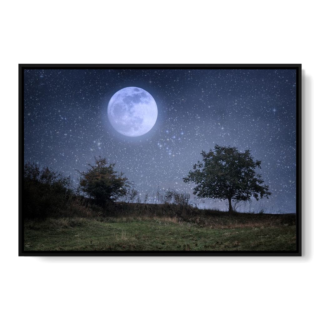Beautiful Moonlight Canvas Wall Art
