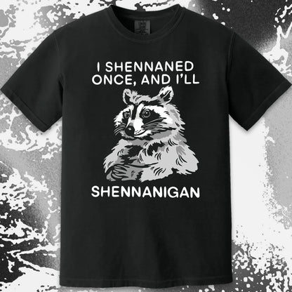 Raccoon Shenanigans T-Shirt, Sarcastic Humor Quote, Mischief Animal Art, funny meme tee gift (view 11)