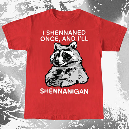 Raccoon Shenanigans T-Shirt, Sarcastic Humor Quote, Mischief Animal Art, funny meme tee gift (view 14)