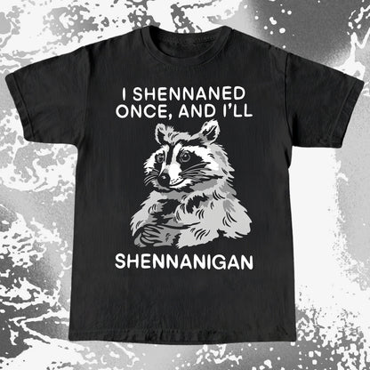 Raccoon Shenanigans T-Shirt, Sarcastic Humor Quote, Mischief Animal Art, funny meme tee gift (view 13)