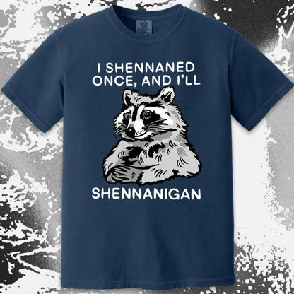 Raccoon Shenanigans T-Shirt, Sarcastic Humor Quote, Mischief Animal Art, funny meme tee gift (view 4)
