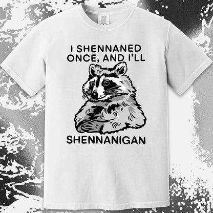 Raccoon Shenanigans T-Shirt, Sarcastic Humor Quote, Mischief Animal Art, funny meme tee gift (view 6)