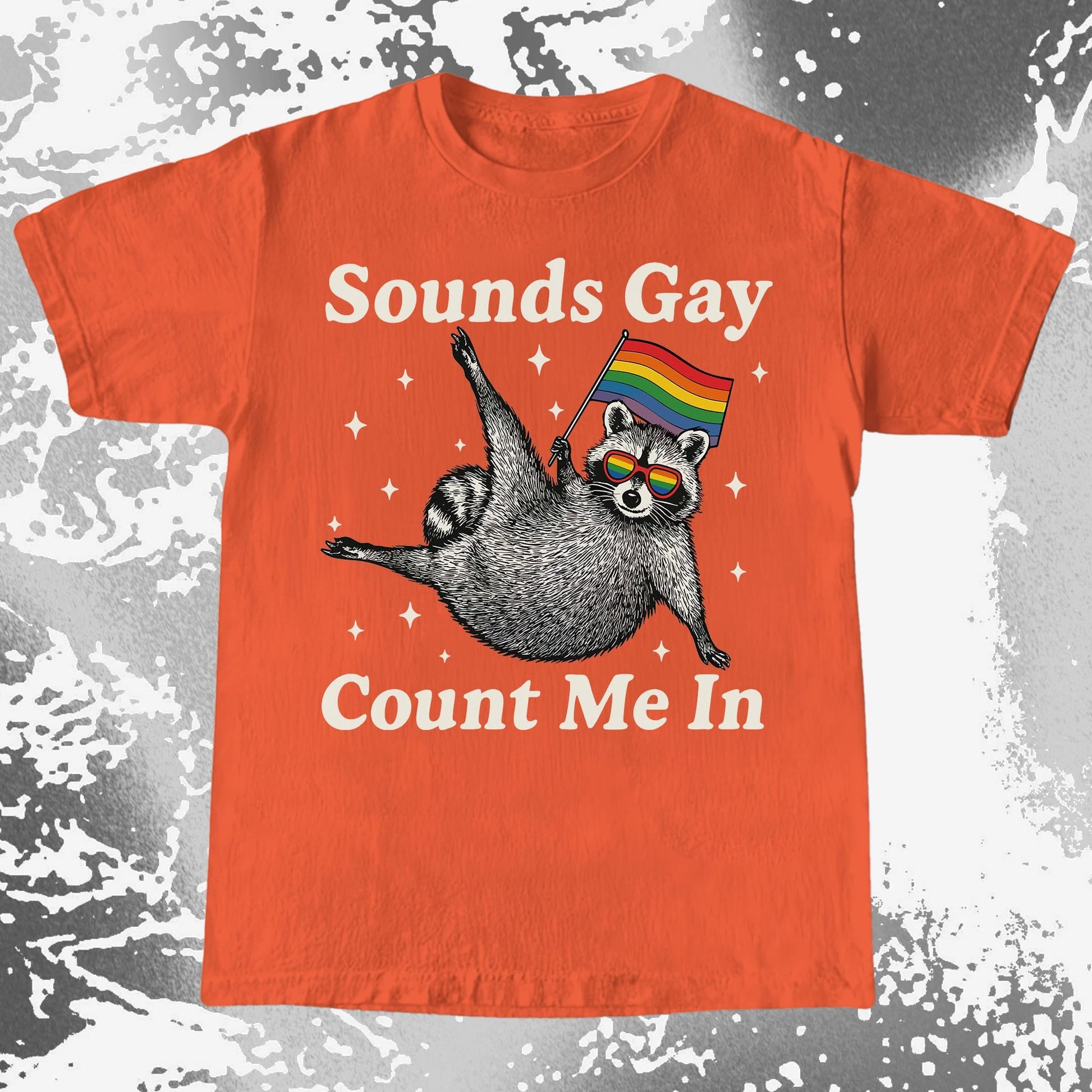 Raccoon Sounds Gay Count Me In, funny meme tee gift (view 6)