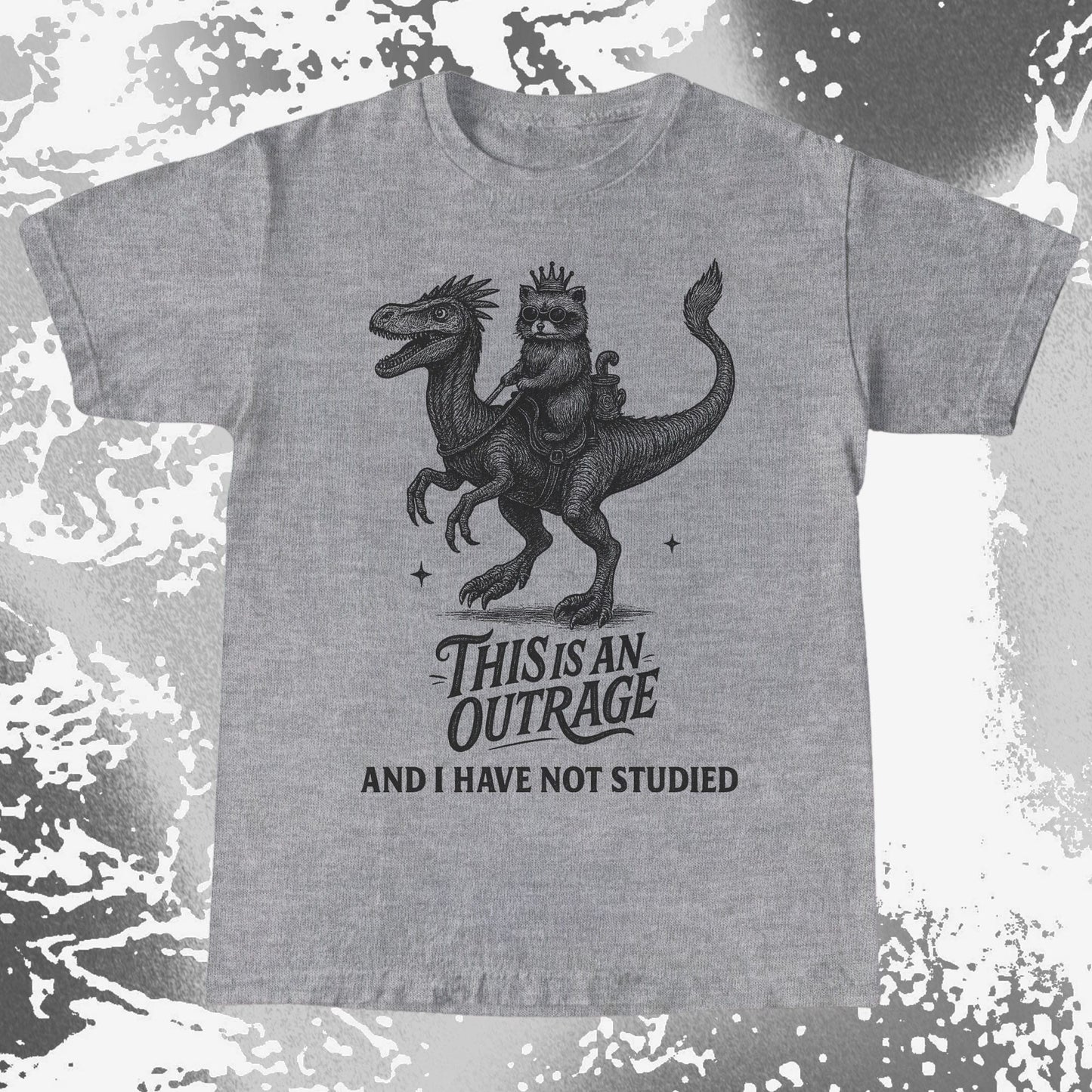 Outrage Raccoon Riding Dinosaur Funny Study, funny meme tee gift (view 5)