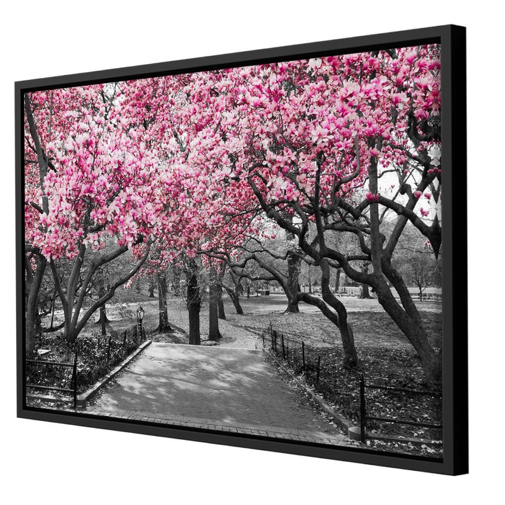Pink Blossoms in Black and White Canvas Wall Art