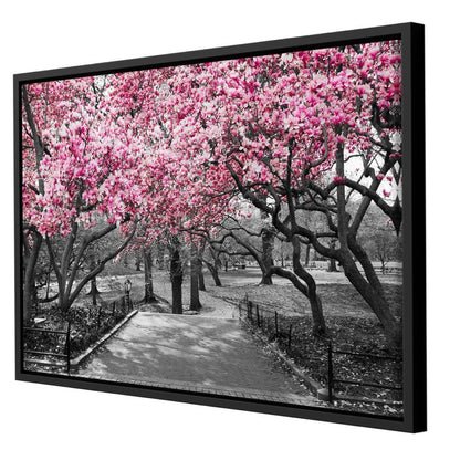 Pink Blossoms in Black and White Canvas Wall Art